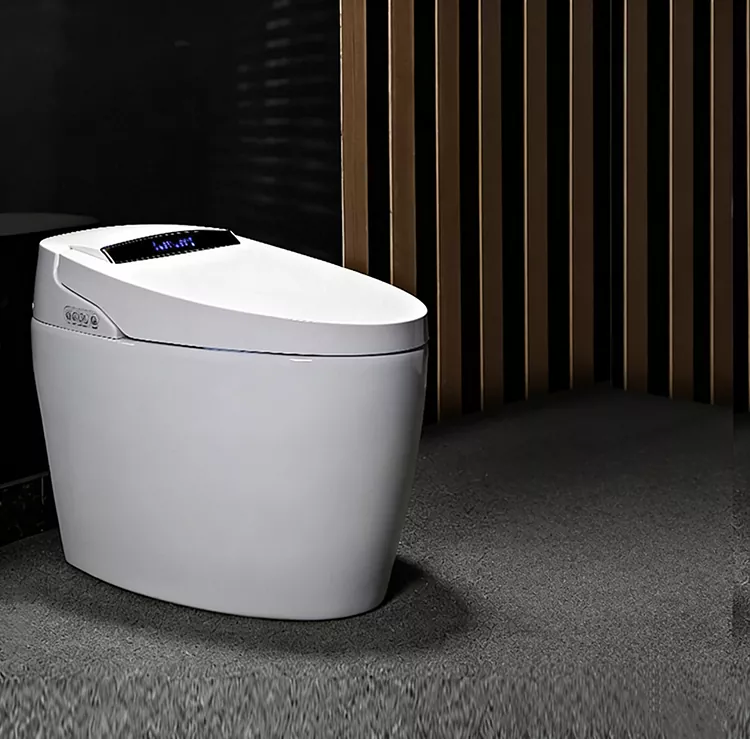 खुट्टा संचालित फ्लिप-टप स्मार्ट शौचालय